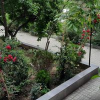 50 متر/موقعیت اداری/شهرک غرب|اجارهٔ دفتر کار، اتاق اداری، مطب|تهران, شهرک غرب|دیوار