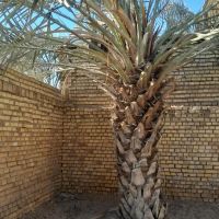 فروش-خانه-ویلایی-ذوالفقاری