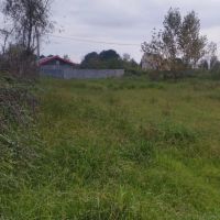 فروش-زمین-سند-دار-تک-برگ