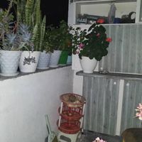 املاک|اجارهٔ آپارتمان|رشت, شالکو|دیوار