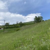 فروش-200-متر-زمین-در-منطقه-سیج