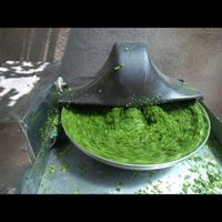 سبزی قورمه سبزی|خوردنی و آشامیدنی|تهران, بهاران|دیوار