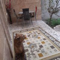 اجاره-ویلا-روستایی-تمیز