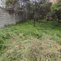 فروش-زمین-300-متری-مسکونی-در-رامسر