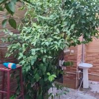 148متر-ویلایی-محدوده-خ-رازی-کوچه8متری-نزدیک-20متری