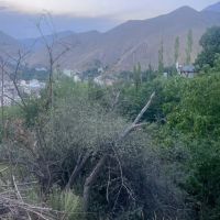 مشارکت-در-ساخت-فشم
