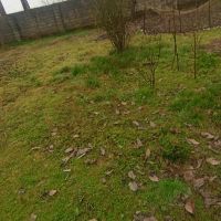 463-متر-زمین-باغی-داخل-طرح-فروش-فوری