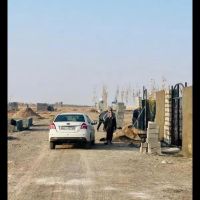 باغچه-500متری-سندار-آب-چاهمتور-نگهبانی