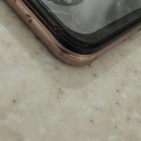 Mi11lite|موبایل|تهران, آذربایجان|دیوار