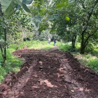 باغ-پرتقال-5300-متری-laquo-املاک-سمام-raquo