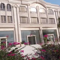 دفتر-و-نمایشگاه-صنعتی-درخت-سبز-پخش-مواد-غذایی
