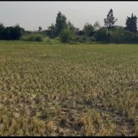 زمین-مسکونی
