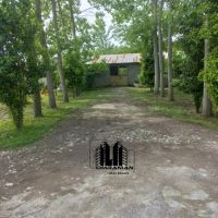 4000-متر-زمین-مسکونی-دامداری-گاوداری-ویلا-باغ