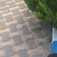مغازه-14-متر-امتیاز-کامل-سند-تک-برگ