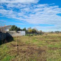 264-متر-مربع-زمین-مسکونی-در-منطقه-برند-پره-سر