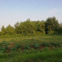 زمین-قابل-ساخت-طش