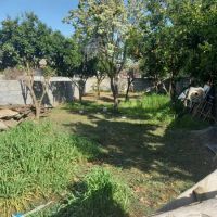 فروش-2قطع-زمین-260متری