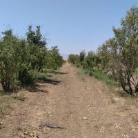 باغ-هزار-متری-سند-دار-گلبهار