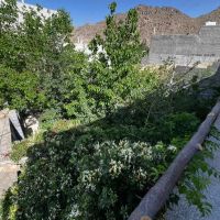 خانه-باغ-طزرجان