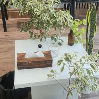 فروش-واحد-85-متری-با-55-متر-تراس