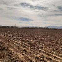 زمین-گلخانه-ای-باغ-سوله