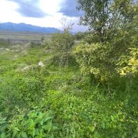 437متر-سند-دار-قیمت-مناسب