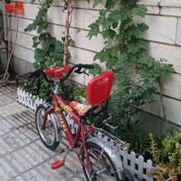 یک عدد ماشین دوچرخه|دوچرخه، اسکیت، اسکوتر|تهران, کاروان|دیوار