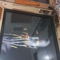 قاب عکس شیشه ای|تابلو، نقاشی، عکس|تهران, اسفندیاری|دیوار