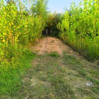 زمین-به-متراژ-215