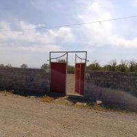 فروش-زمین-زراعی-در-خامنه