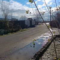 750متر-مسکونی-وباغی-20متری-آسفالت-وامتیازات