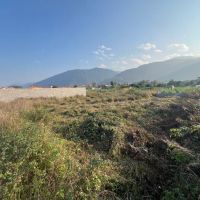 فروش-زمین-293-متری-در-روستای-هلوکله-چابکسر