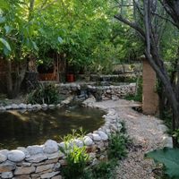 تور یک روزه سربست سپیدان فقط خانمها|تور و چارتر|شیراز, قصرالدشت|دیوار