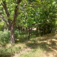 باغ-15هزار-متری-کردان-بالای-اتوبان