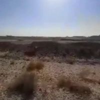 40هزارمتر-مربع-صنعتی-اول-شریف-آباد