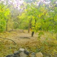 زمین-1200-متر-سند-تک-برگ
