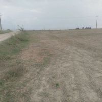 زمین-کشاورزی