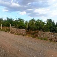 باغ-فروشی-در-فوشنجان