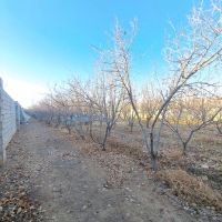 باغ-500متر-گلدشت-قلعه-سفید-برق-شخصی