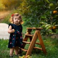عکاسی و فیلمبرداری مراسمات|خدمات پذیرایی، مراسم|تهران, عبدل‌آباد|دیوار