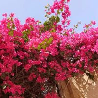 اجاره-سالن-57متری
