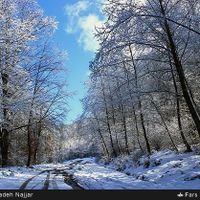 کمپ و شب مانی در دل جنگلهای هیرکانی و سنگده|تور و چارتر|تهران, استاد معین|دیوار