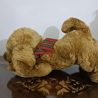 حراجی حراج|حراج|تهران, الهیه|دیوار