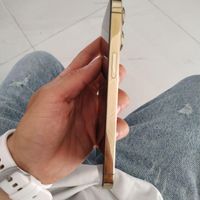 اپل iPhone 13 Pro با حافظهٔ ۲۵۶ گیگابایت|موبایل|مشهد, حجت|دیوار