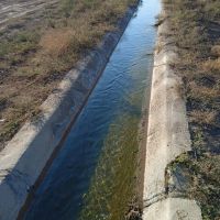 1000متر-باغچه-ارزان