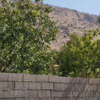 زمین-مسکونی-باغچه