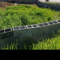 زمین-فروشی-معاوضه-با-میش-یا-بز-داشتی-خوب