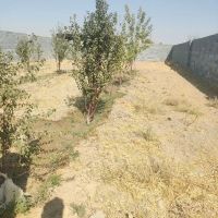 زمین-باغچه-چهار-دیواری