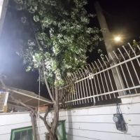 فروش-زمین-کوثر-1-تجاری-خور-200-متر