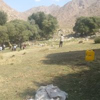 زمین-باغی-توابع-زردین